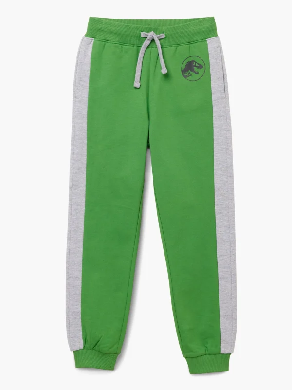 Jurassic World Joggingbukser Grøn Fashion