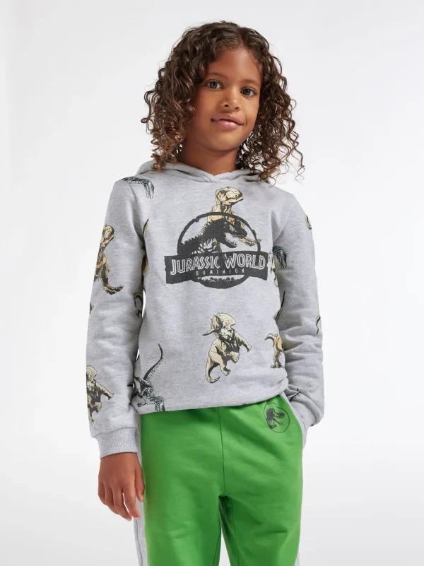 Jurassic World Sweater & sweatshirt Grå Sale